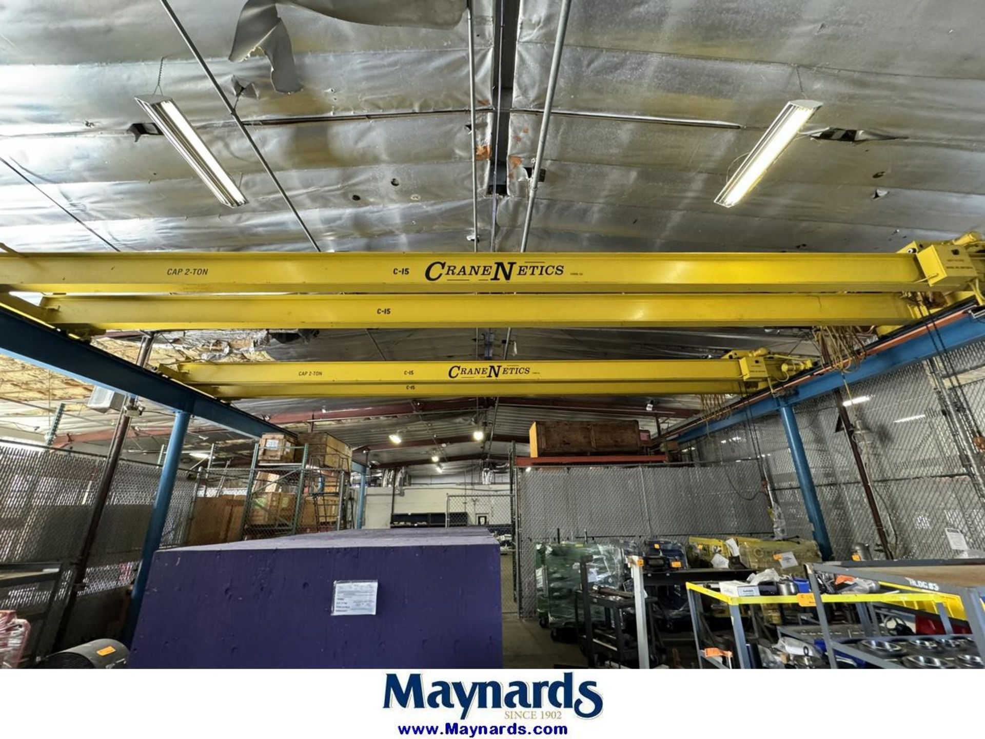 (2) CraneNetics 2-Ton Overhead Bridge Cranes w/ Railing & Supports
