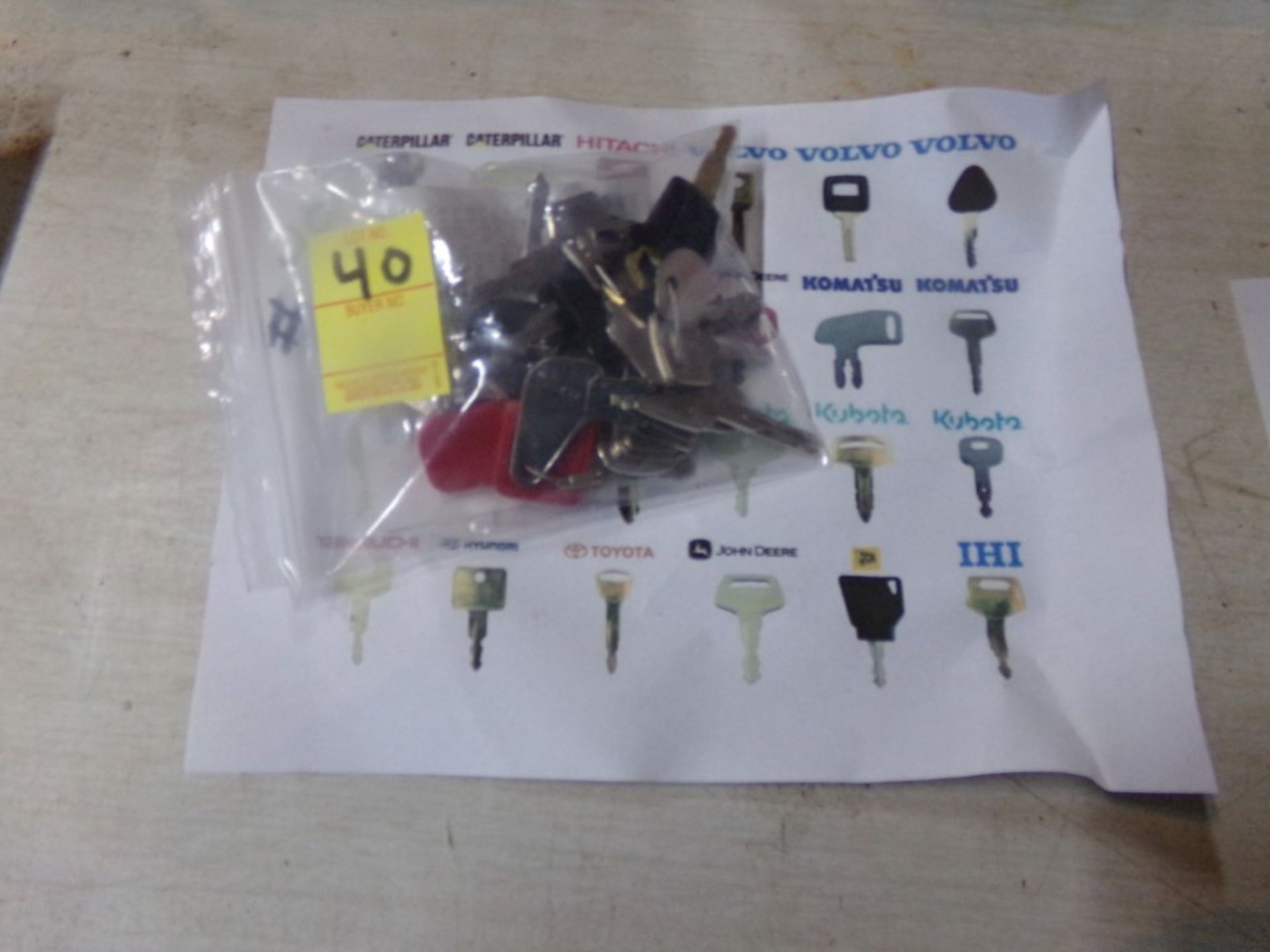 Master Key Ring, 24 Assorted Equipment Keys, Kubota, Bobct, Hyster, Cat, Etc.