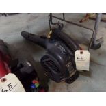 Poulon Leaf Blower (Has Compression)