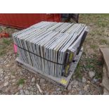 Pallet w/194 SF Natural Cleft - 1'' Thick, 18'' x 24'' Varying Thickness Bluestone Pattern, Sold