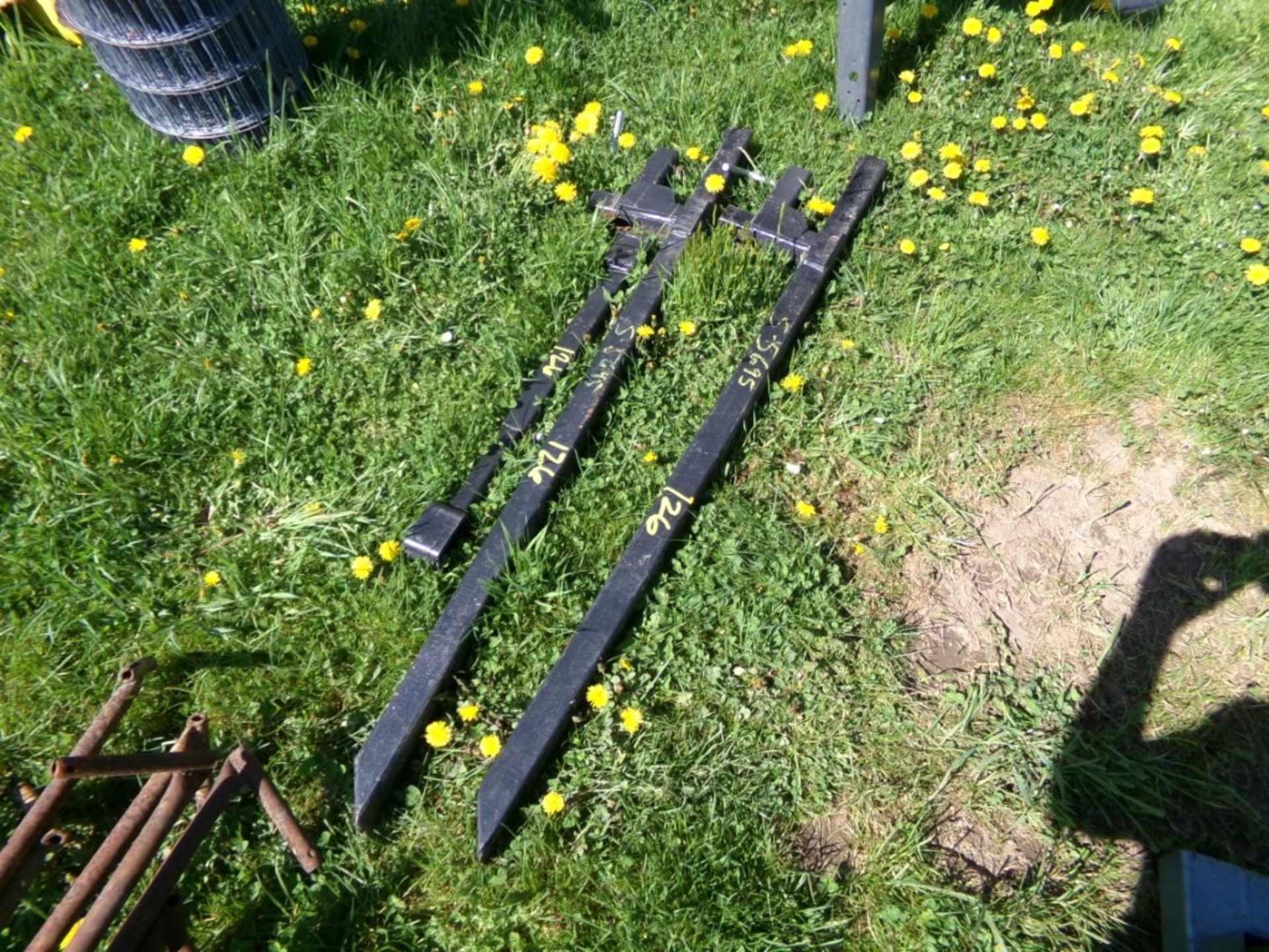 Clamp On Pallet Forks (5695)