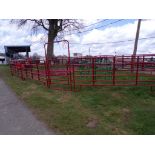 New 11 Pc. Red Corral with 12' Panels and a 4' Ride Thru Gate (5409)