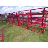 New 16' Red Livestock Gate (5406)