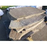 Pallet of (9) Flat Stepping Stones (4761)