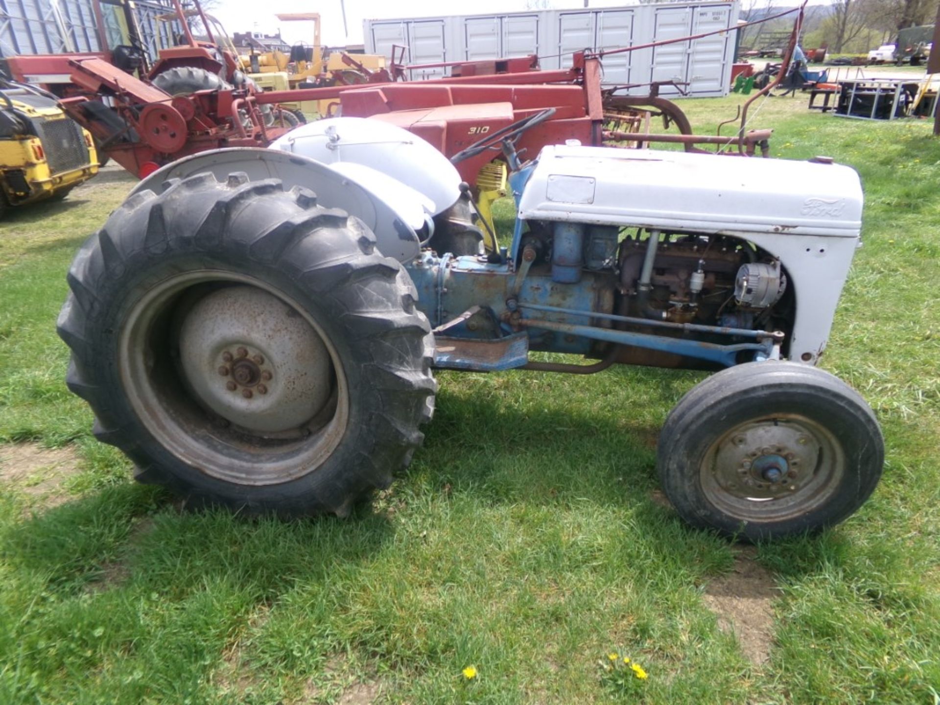 Ford 8N Tractor, Gas Eng., Runs & Drives, Blue Belly (4437) - Image 2 of 3