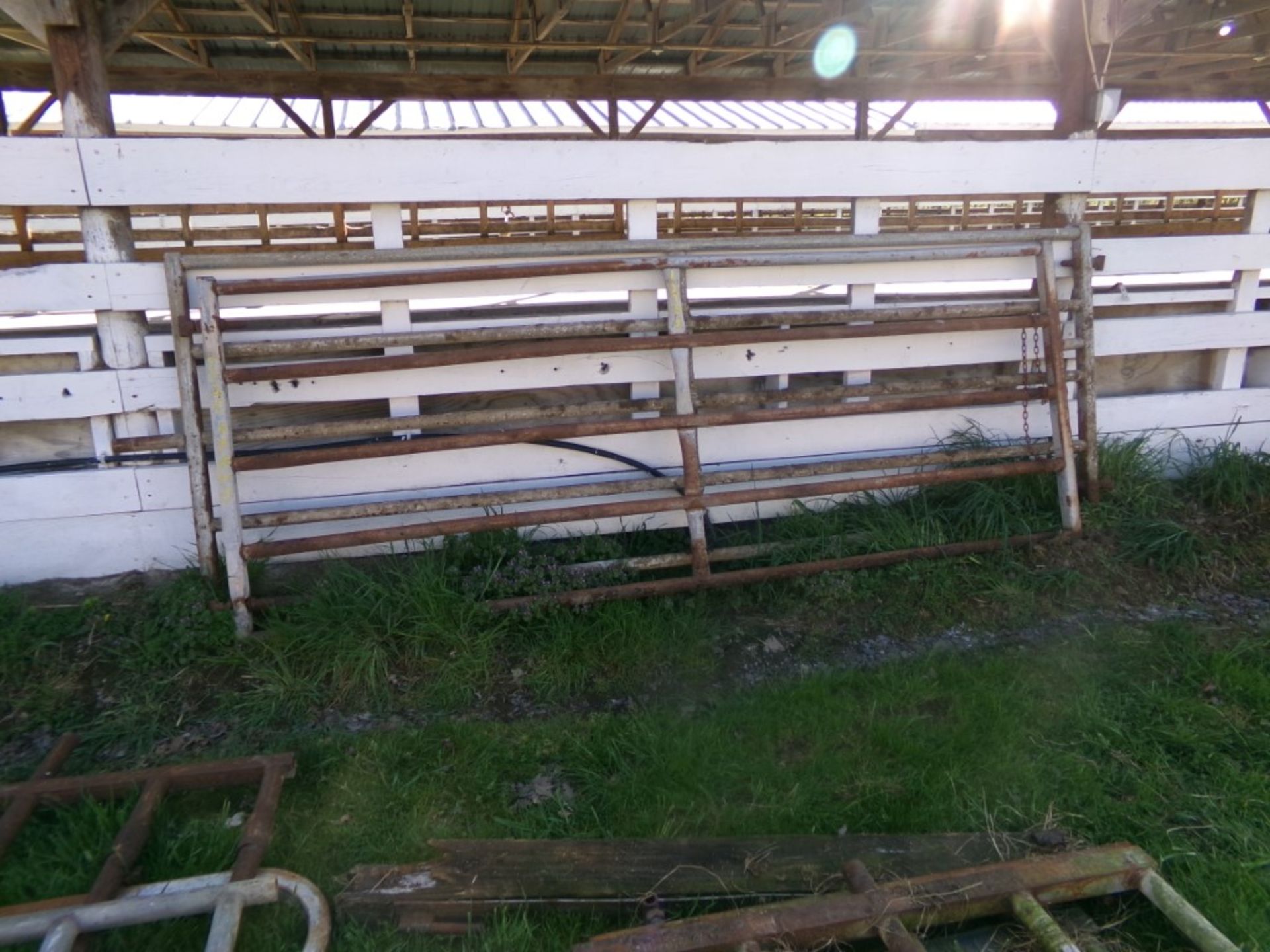 (2) 10 1/2' Heavy Duty Gates (2 x Bid Price) (6646)