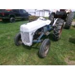 Ford 8N Tractor, Gas Eng., Runs & Drives, Blue Belly (4437)