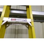 (1) 6' and (1) 8' Werner Step Ladders (2905)