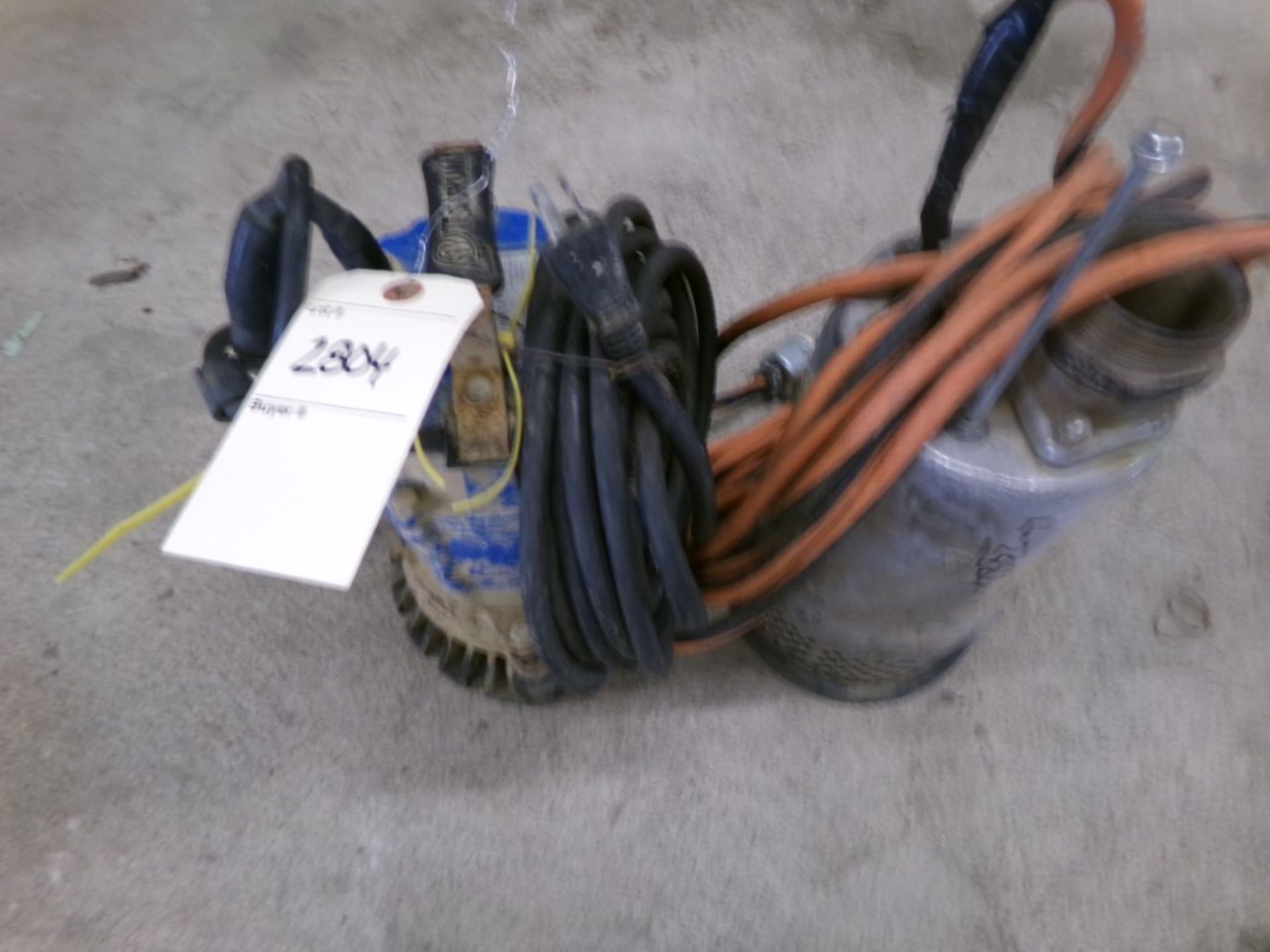 (2) Sump Pumps (2804)