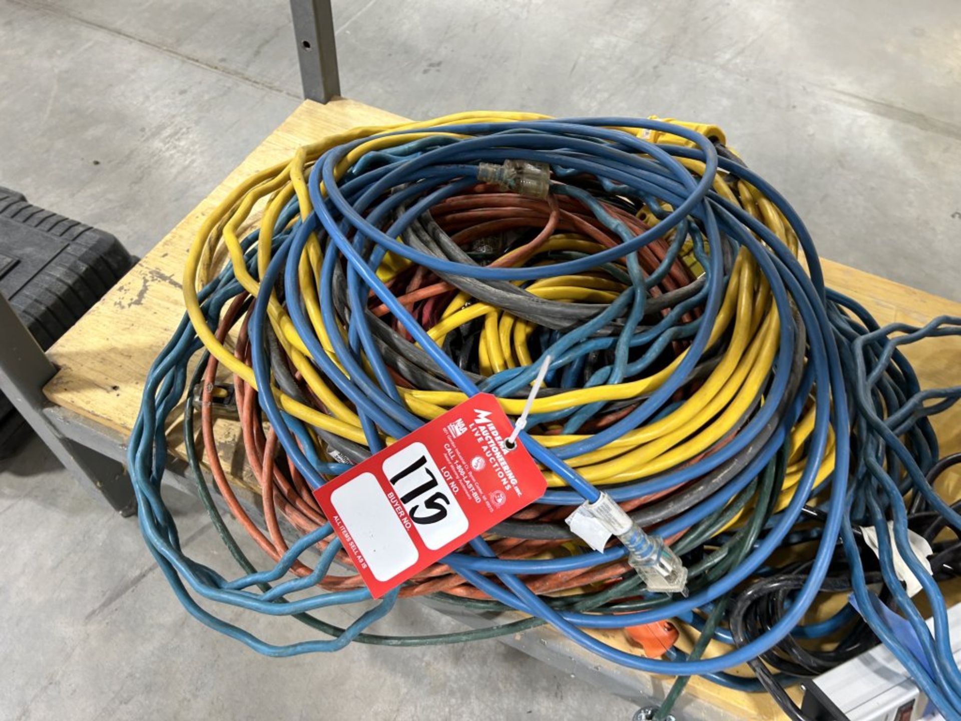 (10) ASSORTED EXTENSION CORDS, MULTI-PLUGS, AND (5) ASSORTED TARPS - Image 4 of 4