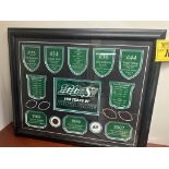 SASKATCHEWAN ROUGHRIDERS "100 YEARS OF RIDER PRIDE" FRAMED PRINT 22"X18.5"