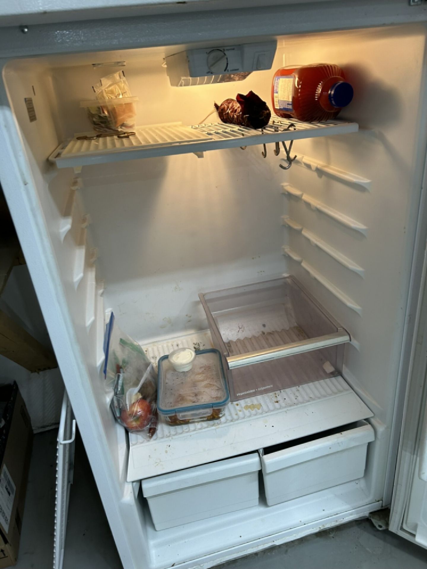 WHIRLPOOL REFRIGERATOR 28"X29"X67" (CONTENTS NOT INCLUDED) - Image 6 of 7