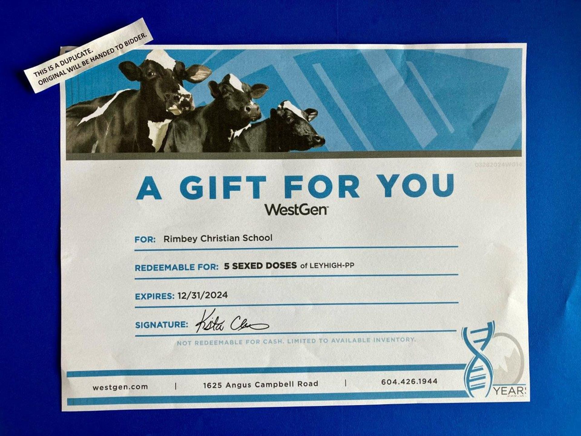 WESTGEN GIFT CERTIFICATE: 5 SEXED DOSES OF LEYHIGH-PP