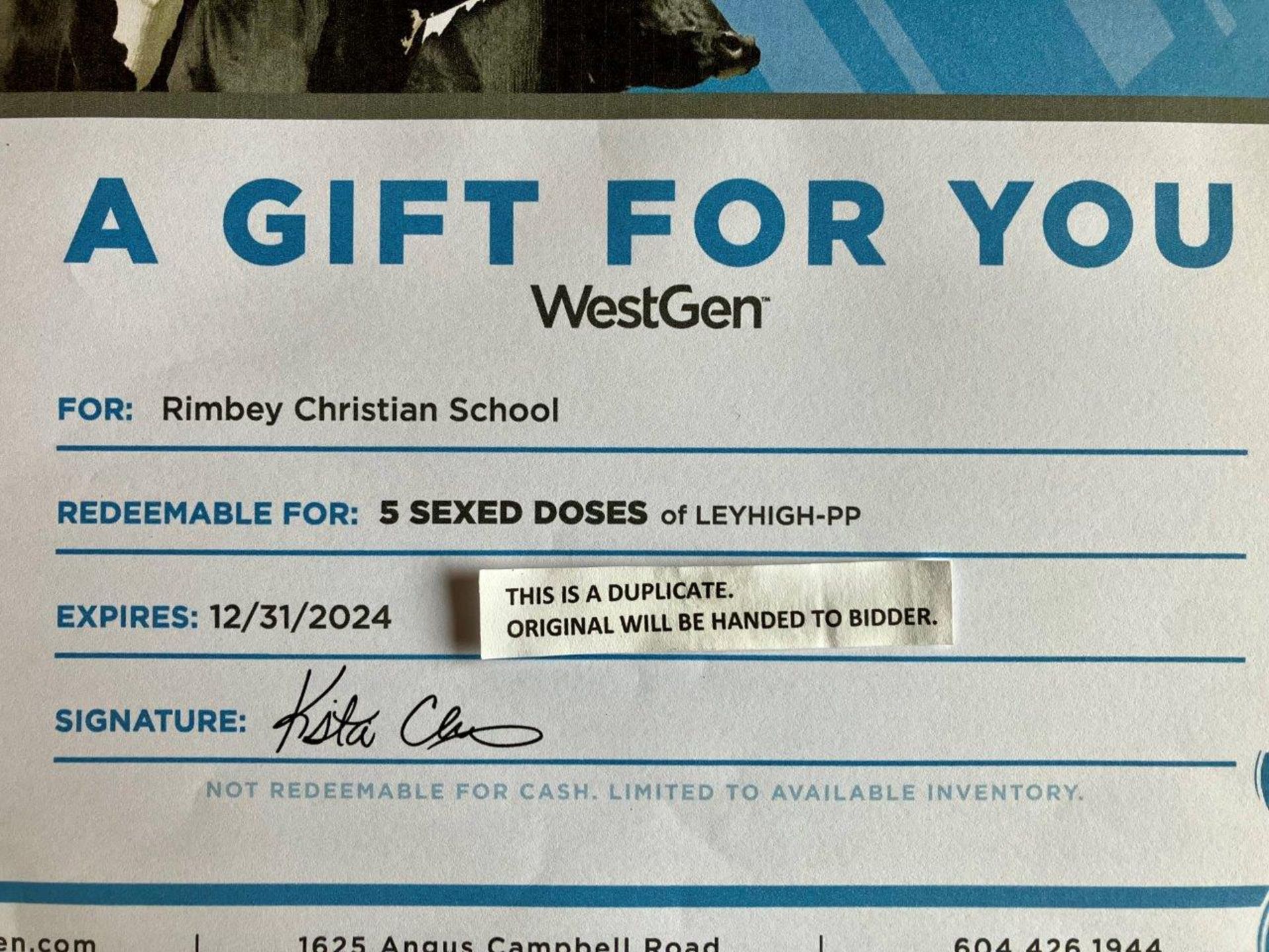 WESTGEN GIFT CERTIFICATE: 5 SEXED DOSES OF LEYHIGH-PP - Image 2 of 2