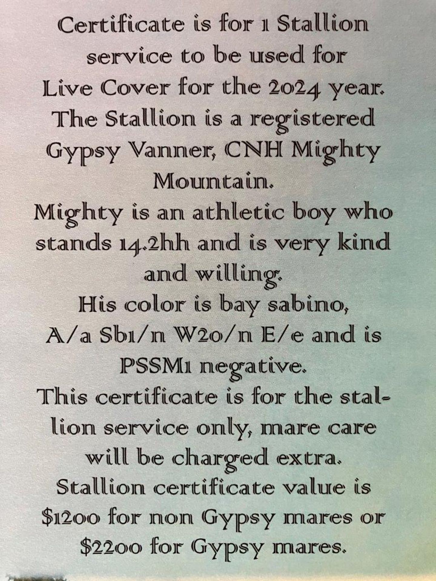 CNH GIFT CERTIFICATE FOR 1 GYPSY STALLION SERVICE (LIVE COVER ) - Image 3 of 3