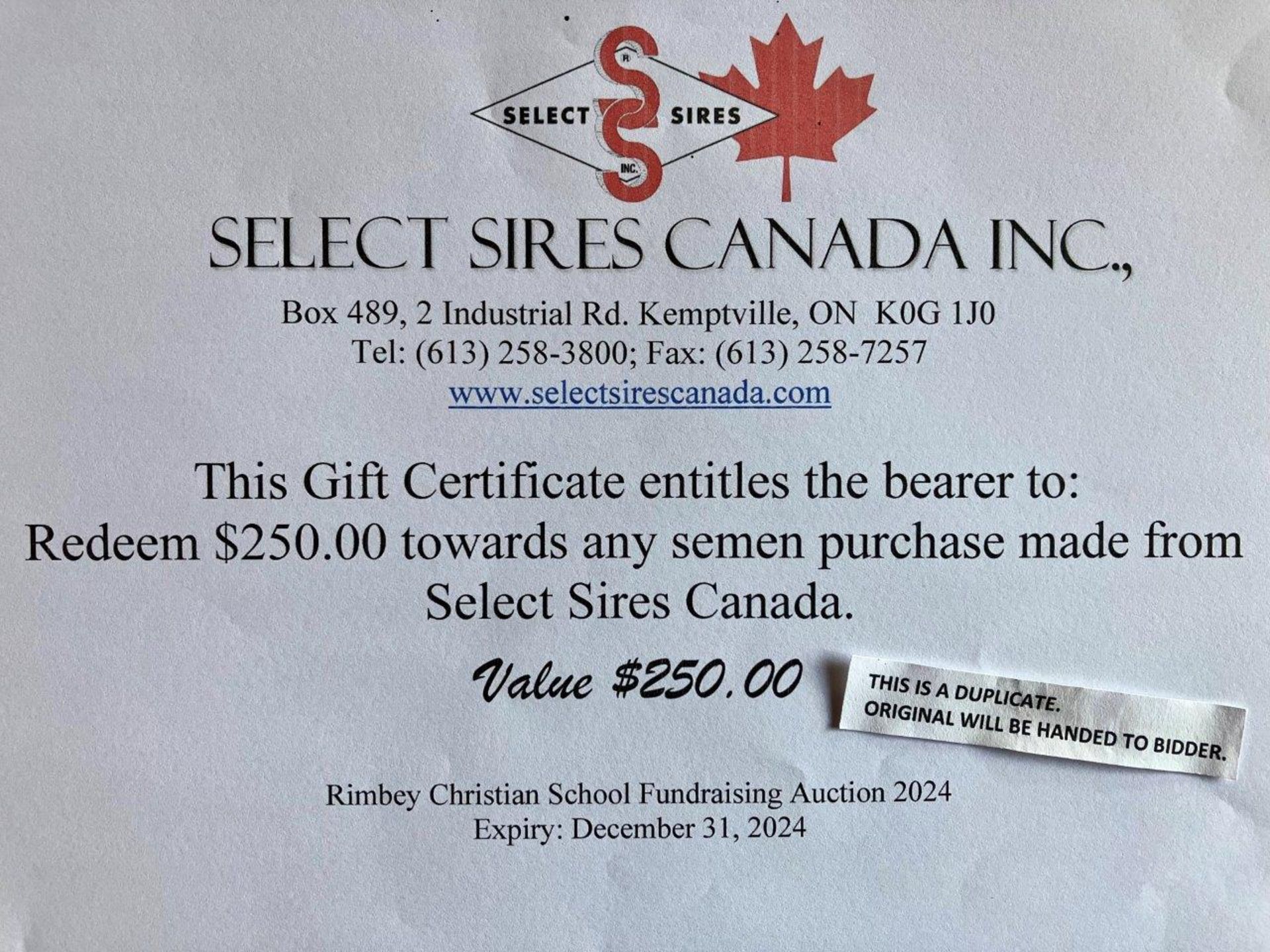 SELECT SIRES CANADA $250.00 GIFT CERTIFICATE - Image 2 of 2