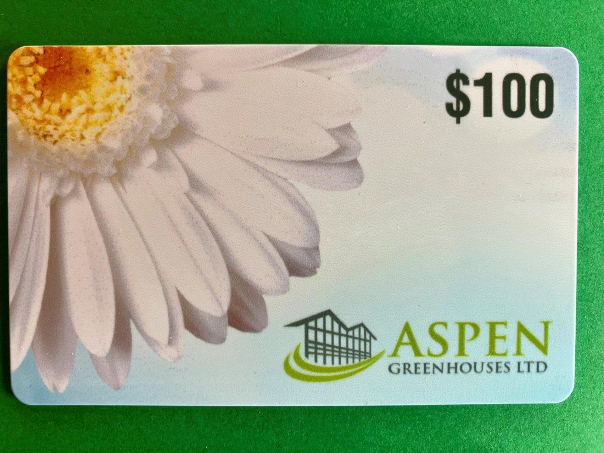 $100 ASPEN GREENHOUSES GIFT CARD - Image 2 of 2