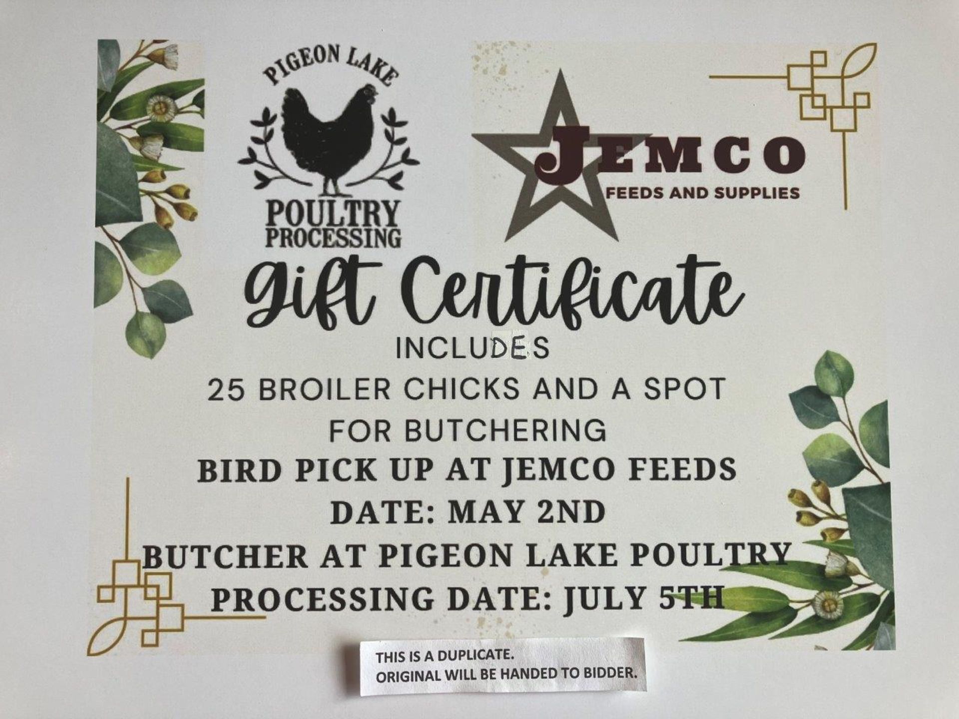 25 BROILER CHICKS & BUTCHERING GIFT CERTIFICATE - Image 3 of 3