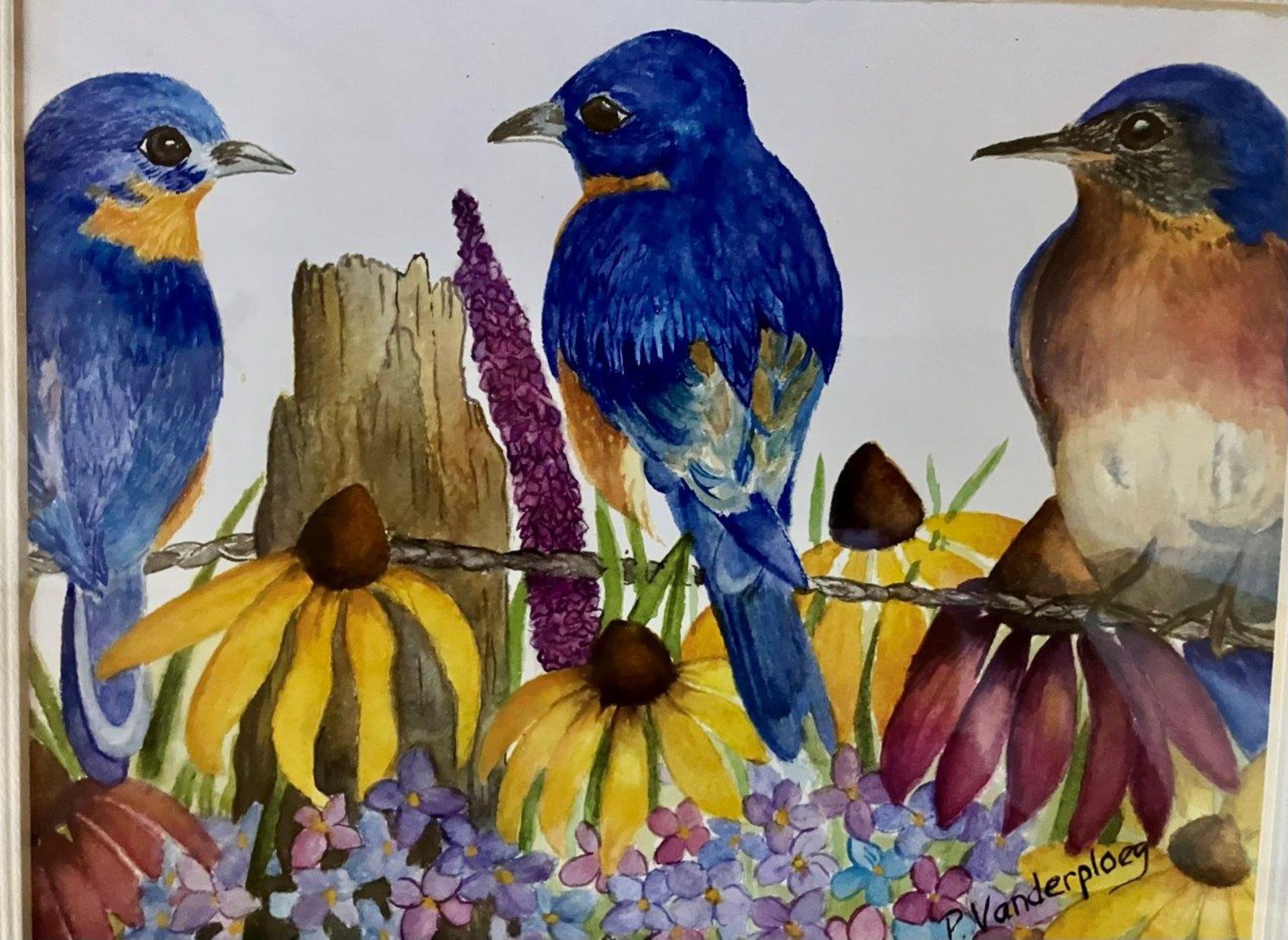 FRAMED PRINT: BIRDS & FLOWERS - Image 2 of 2