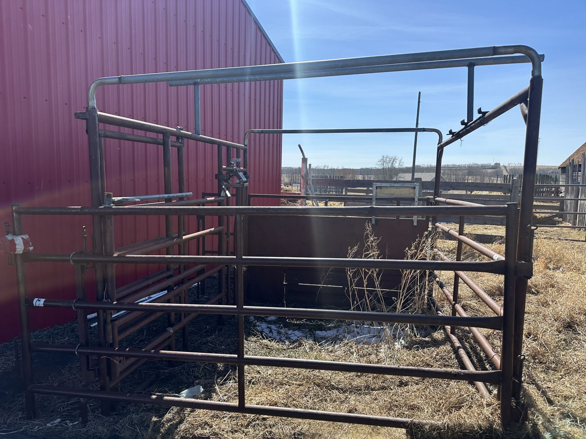 **OFFSITE** CALVING MATERNITY PEN W/ HEAD GATE - LOCATED 40515 RANGE ROAD 245, CLIVE, AB, VEIWING - Image 6 of 6