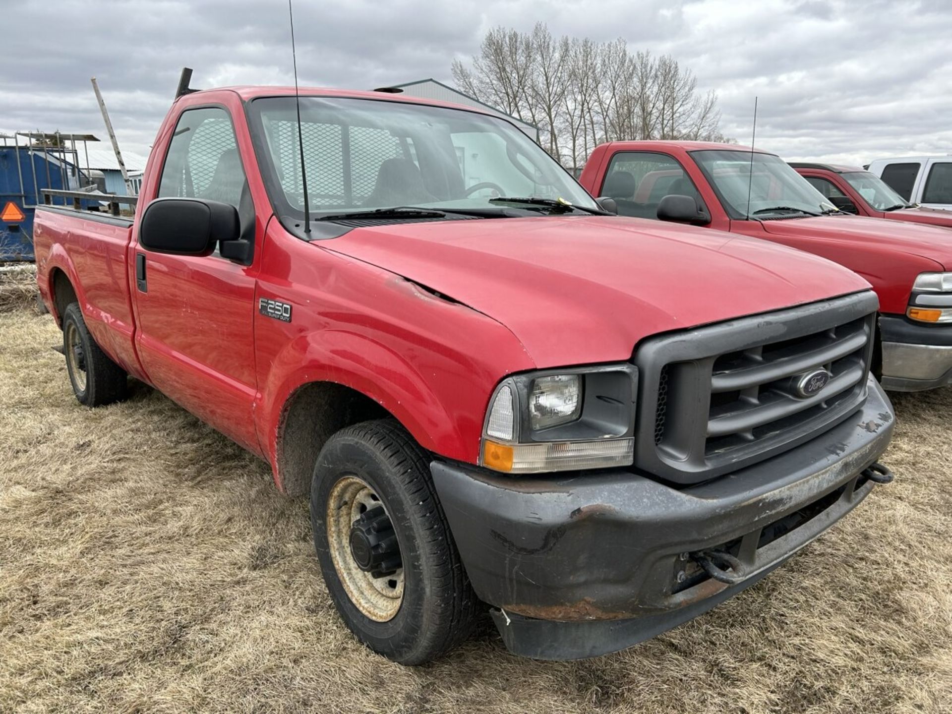 2003 FORD F250 XL SUPER DUTY P/U TRUCK, REG. CAB, 8 FT BOX, 2WD, TRITON 5.4L V8 GAS ENG., A/T, CLOTH - Bild 2 aus 12