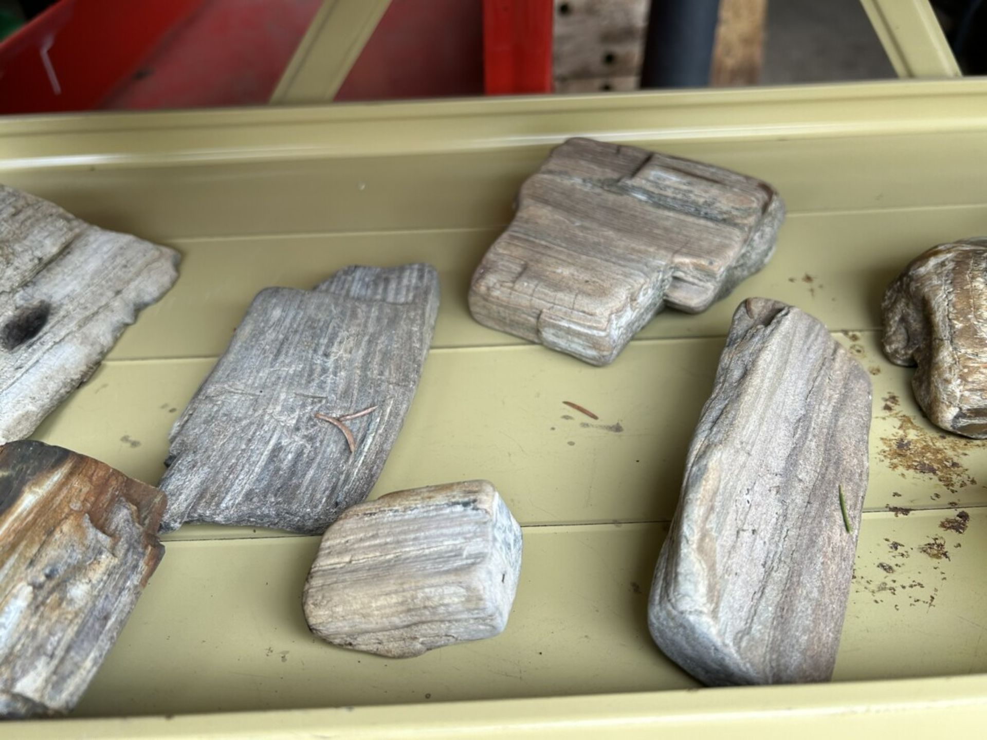 ASSORTED PETRIFIED WOOD AND ROCKS - Image 3 of 6