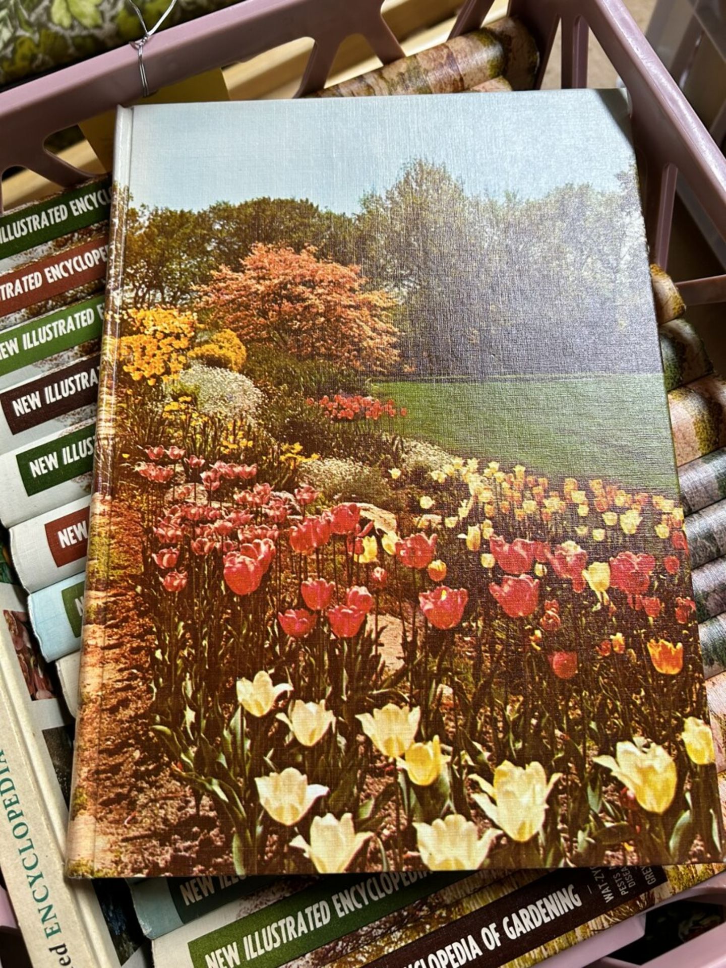 SET OF NEW ILLUSTRATED ENCYCLOPEDIA OF GARDENING BOOKS, SET 1-7 ALBERTA IN THE 20TH CENTURY BOOKS - Image 4 of 5