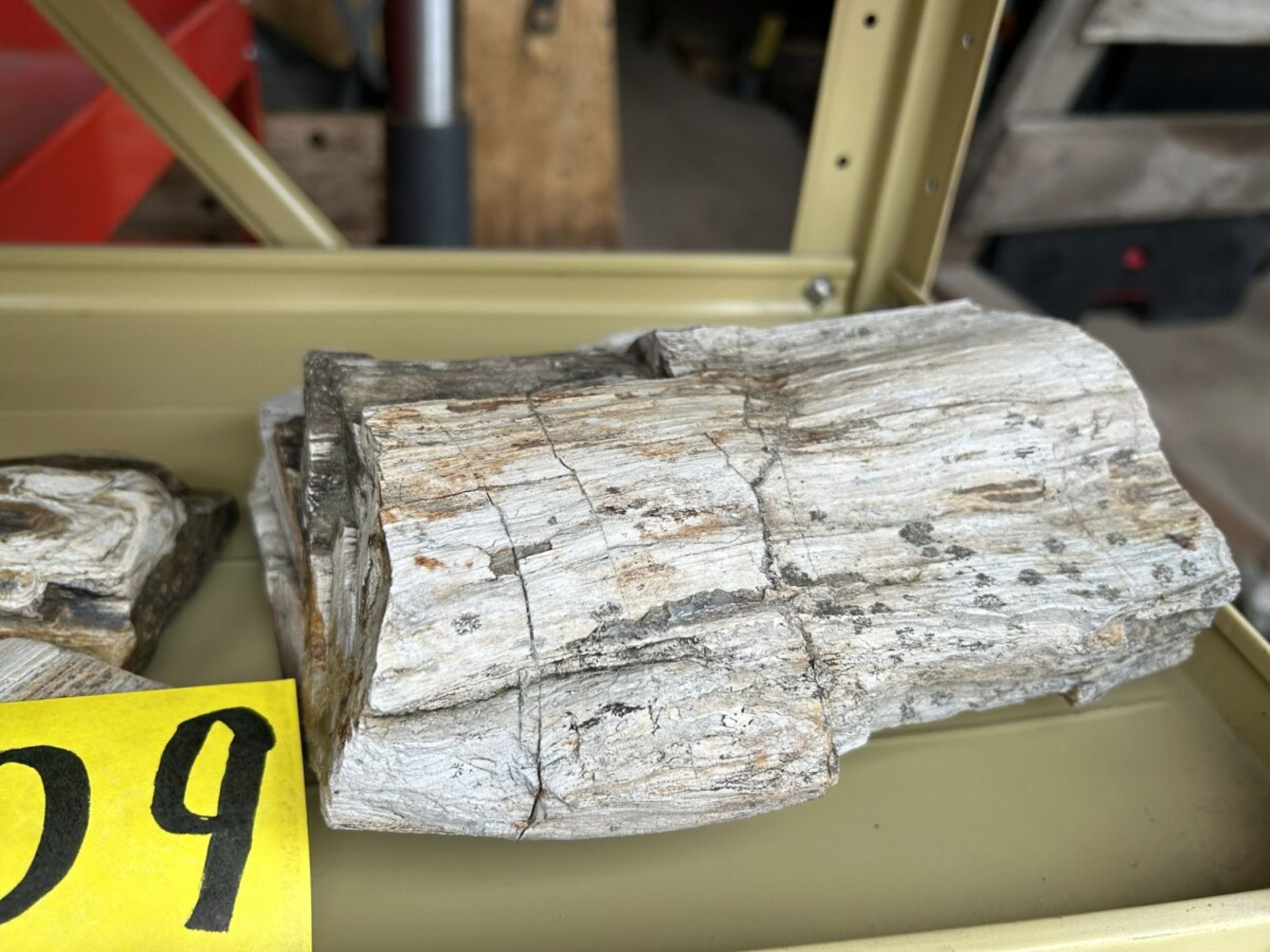 ASSORTED PETRIFIED WOOD AND ROCKS - Image 6 of 6