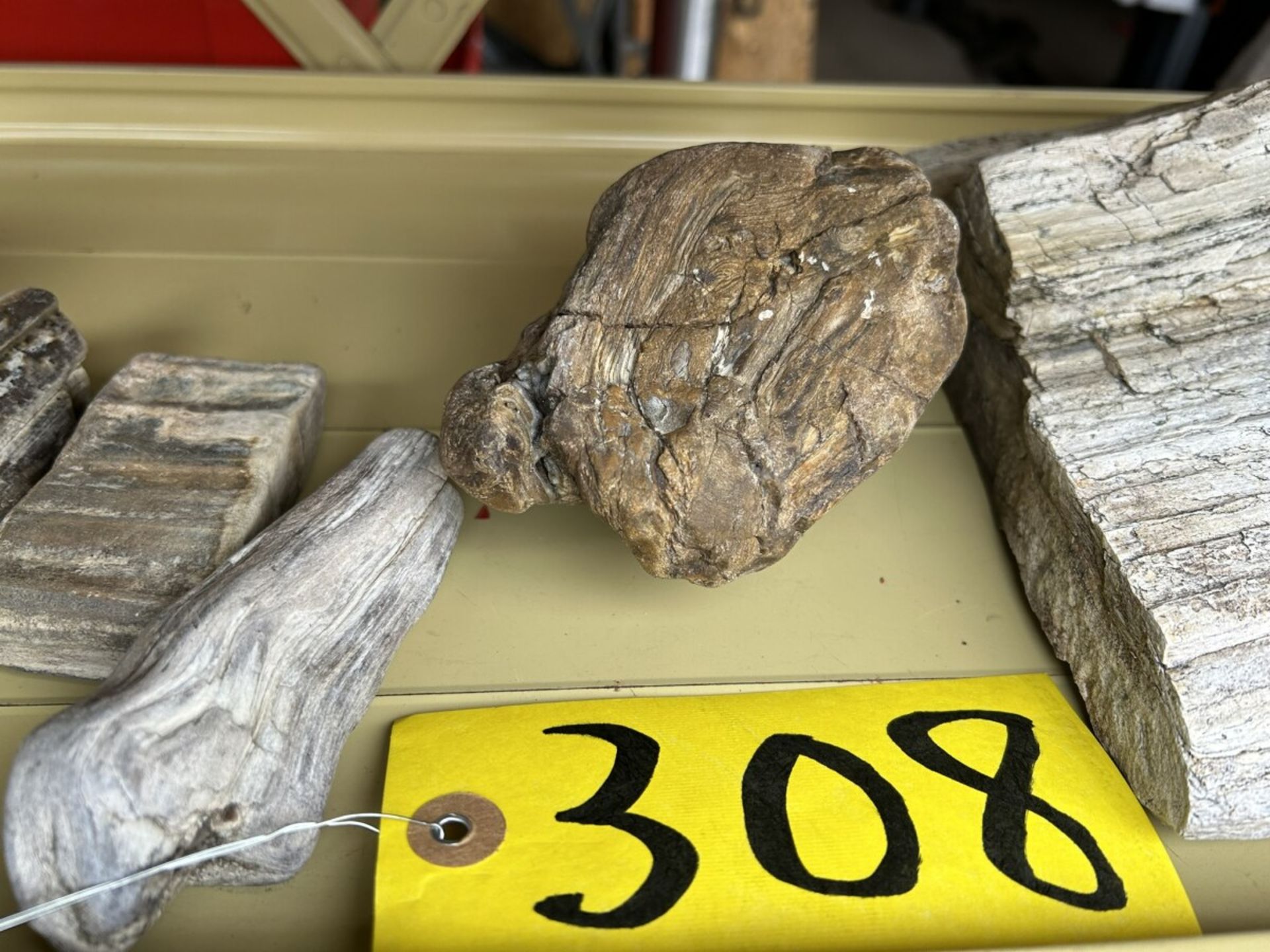 ASSORTED PETRIFIED WOOD AND ROCKS - Image 3 of 4