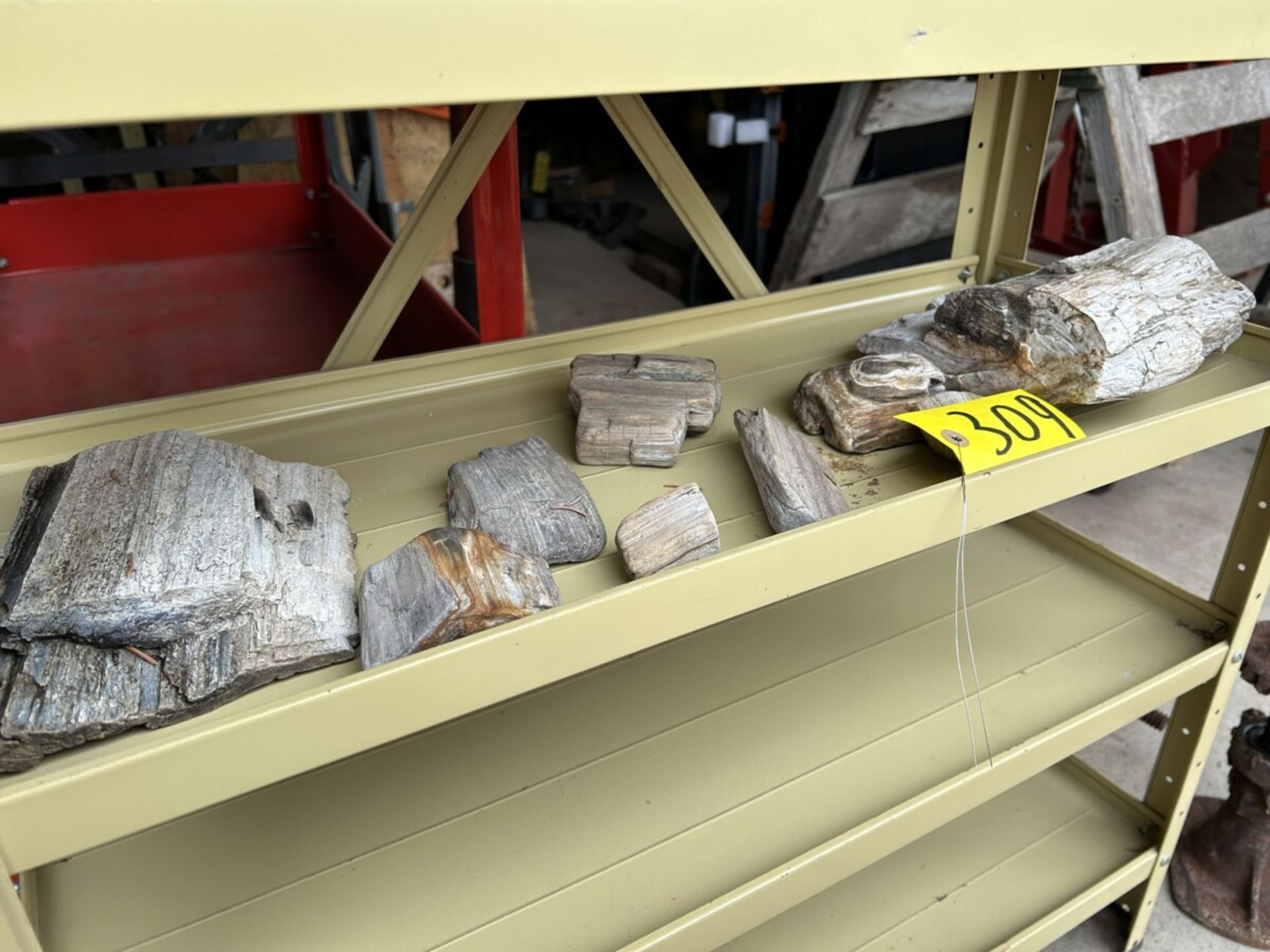 ASSORTED PETRIFIED WOOD AND ROCKS