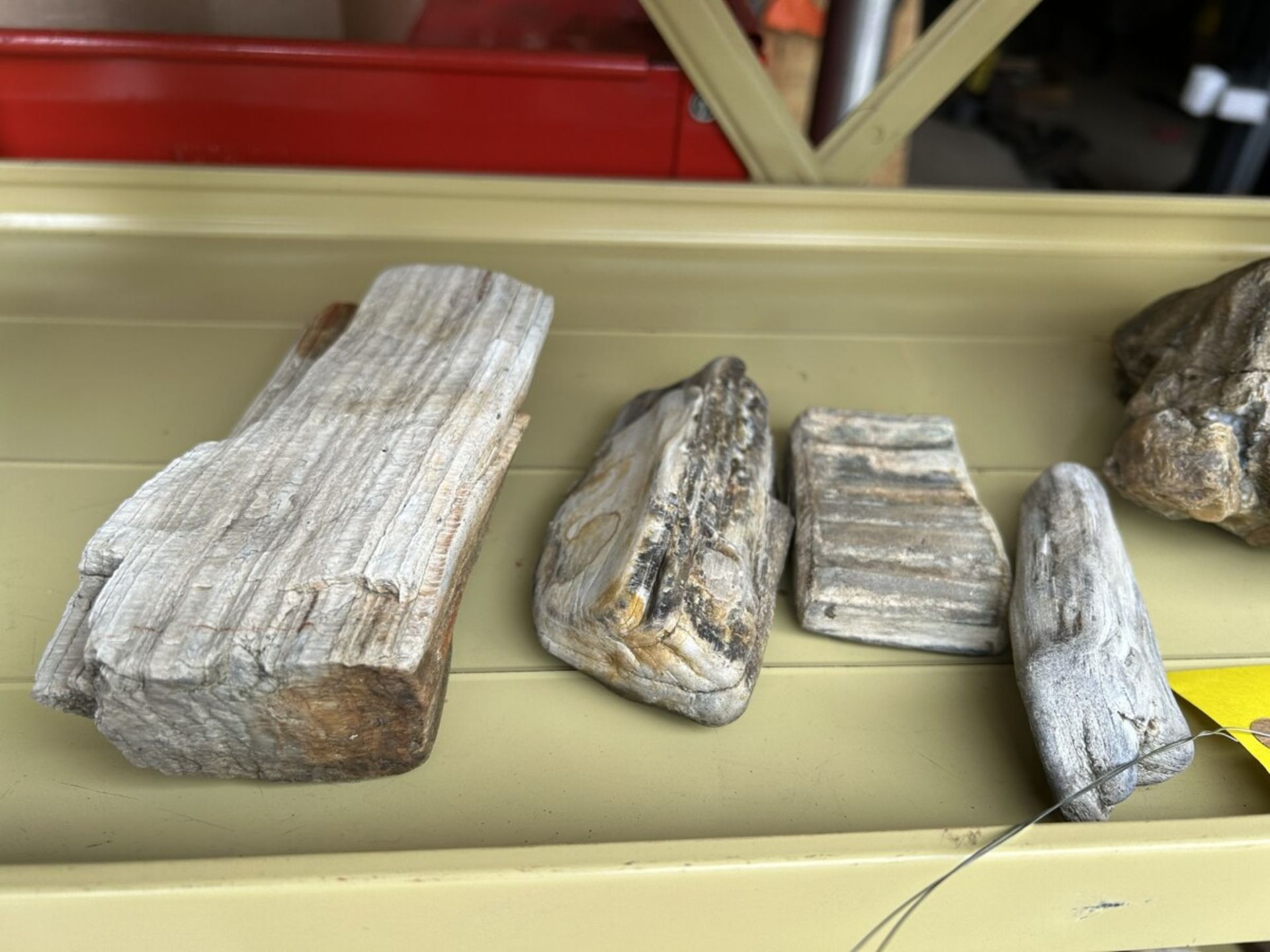 ASSORTED PETRIFIED WOOD AND ROCKS - Image 2 of 4