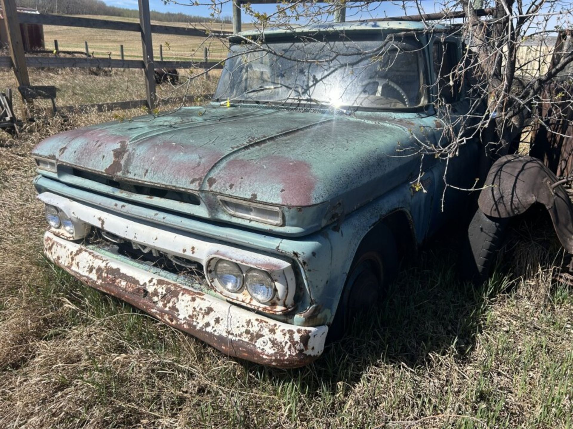 1968 CHEV 930 TRUCK (PROJECT) - LOCATED 22 KM EAST OF PONOKA - Image 2 of 5