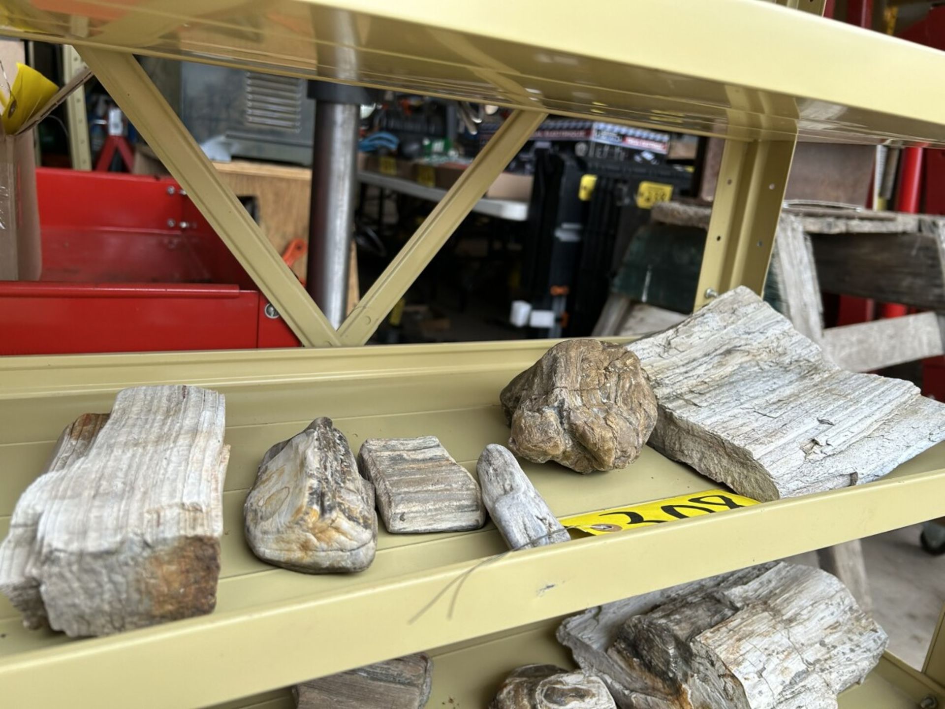 ASSORTED PETRIFIED WOOD AND ROCKS