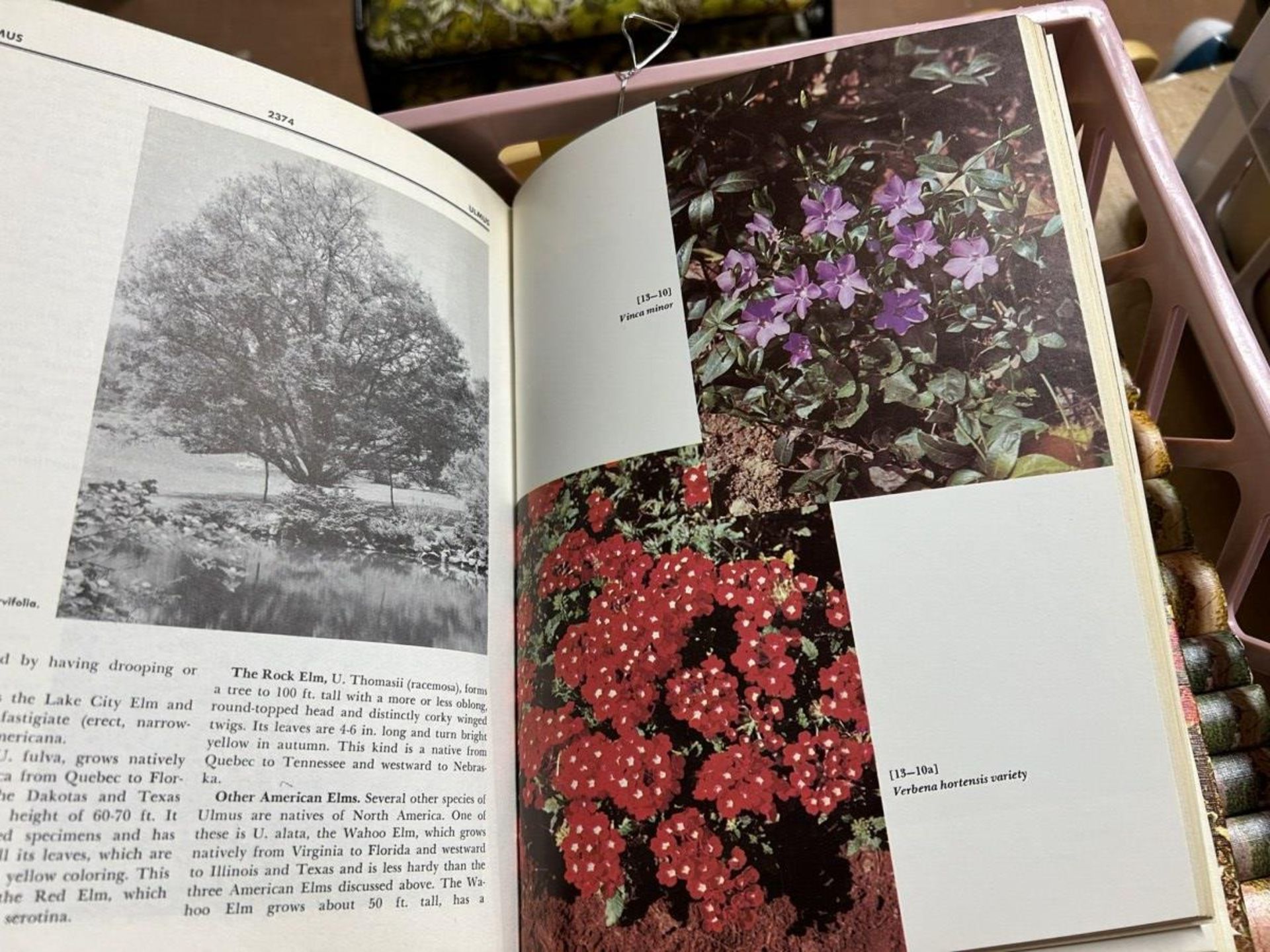 SET OF NEW ILLUSTRATED ENCYCLOPEDIA OF GARDENING BOOKS, SET 1-7 ALBERTA IN THE 20TH CENTURY BOOKS - Image 5 of 5