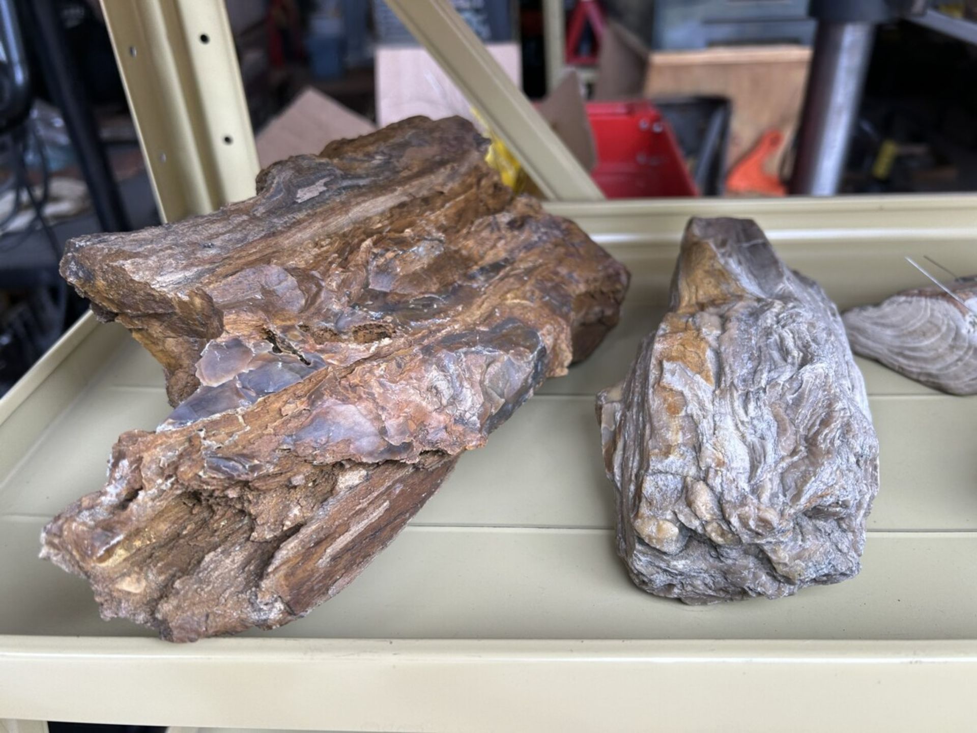 ASSORTED PETRIFIED WOOD AND ROCKS - Image 2 of 4