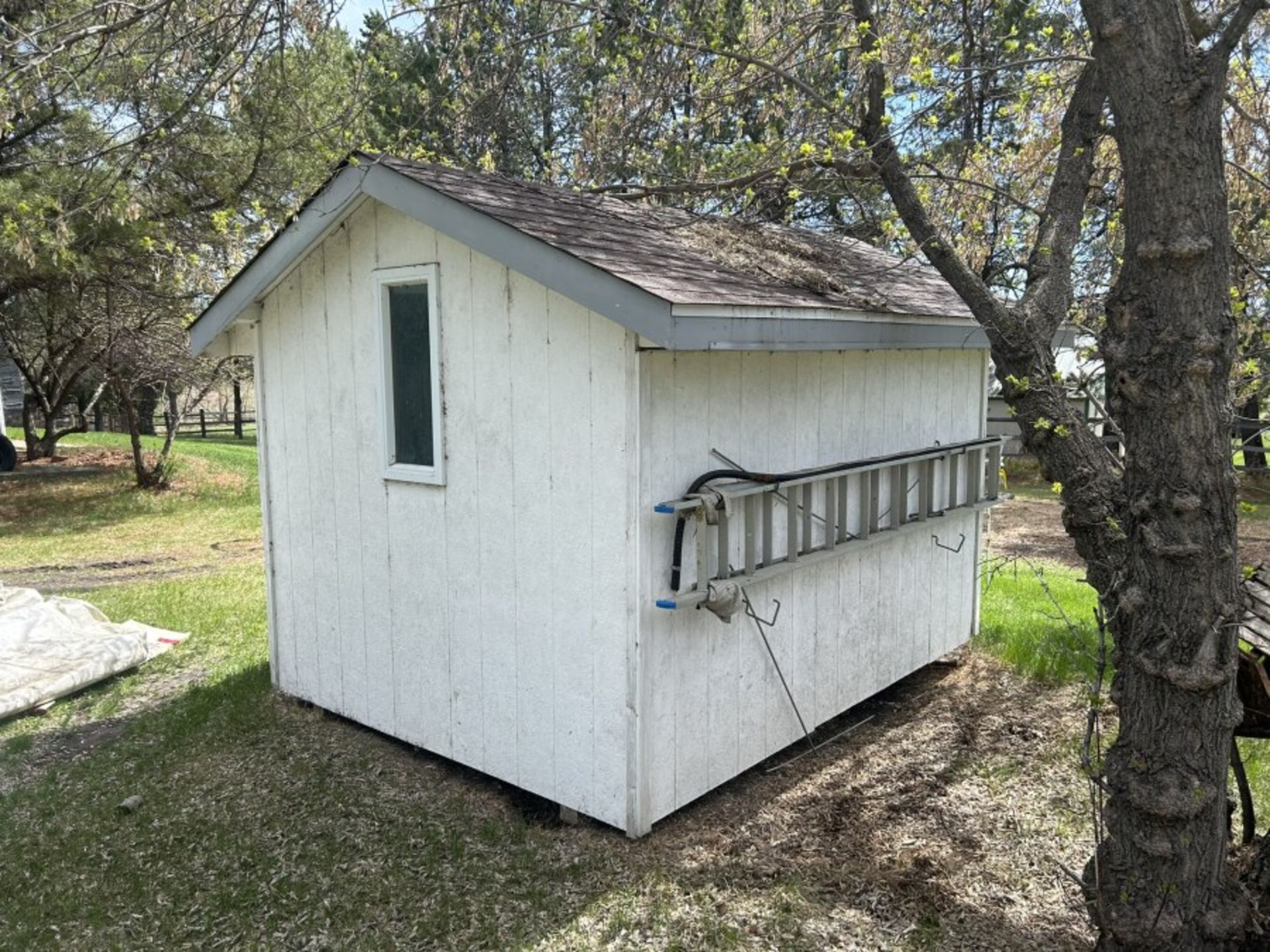 8X10 WOODFRAME GARDEN SHED - Image 3 of 4