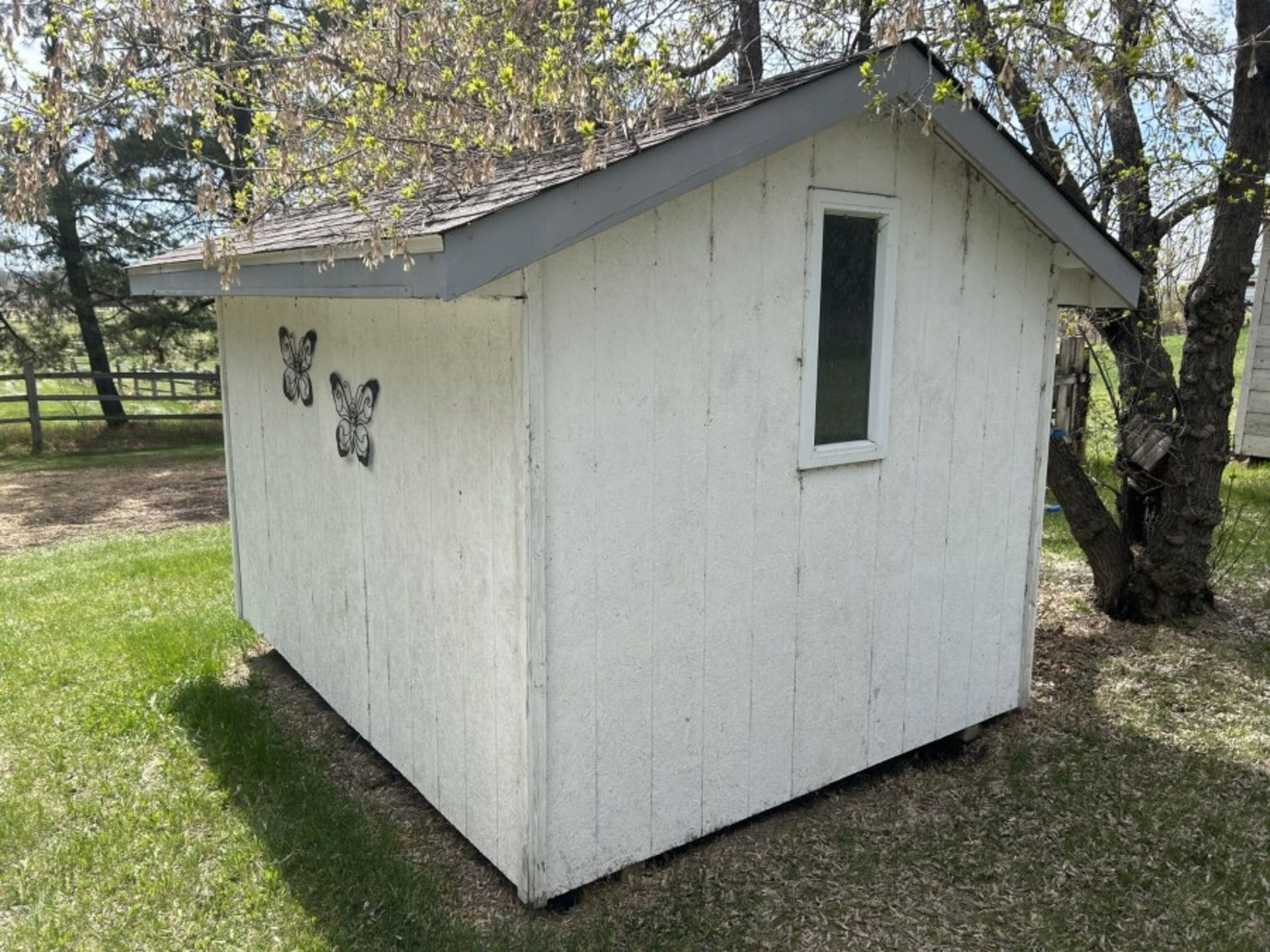 8X10 WOODFRAME GARDEN SHED - Image 4 of 4