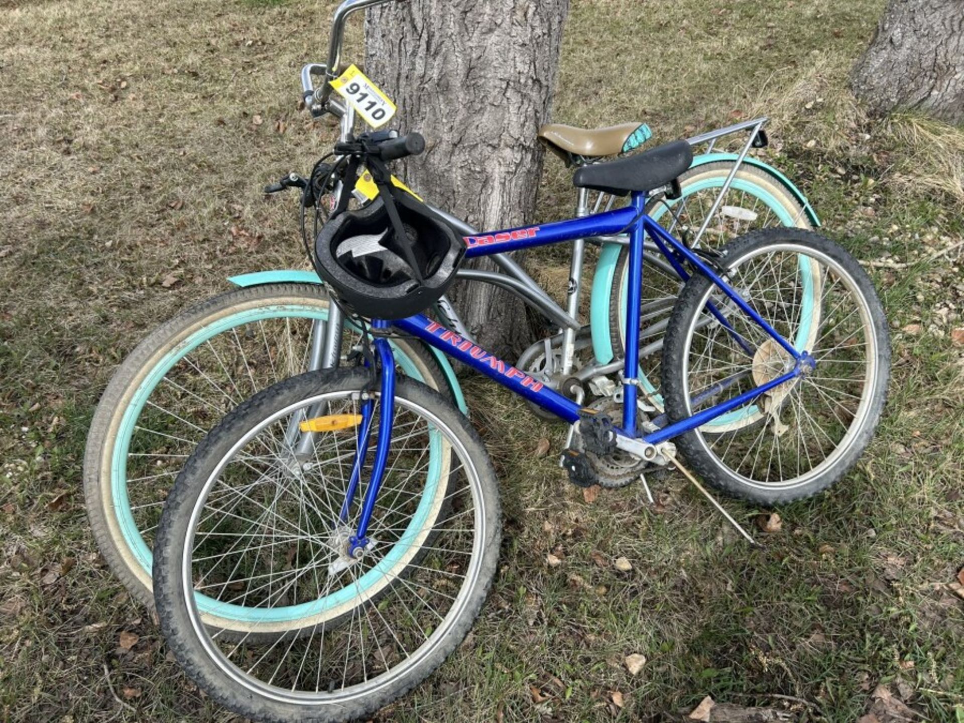 SCHWINN DELMAR CRUISER BICYCLE AND TRIUMPH DOSER 15 SPEED MOUNTAIN BIKE