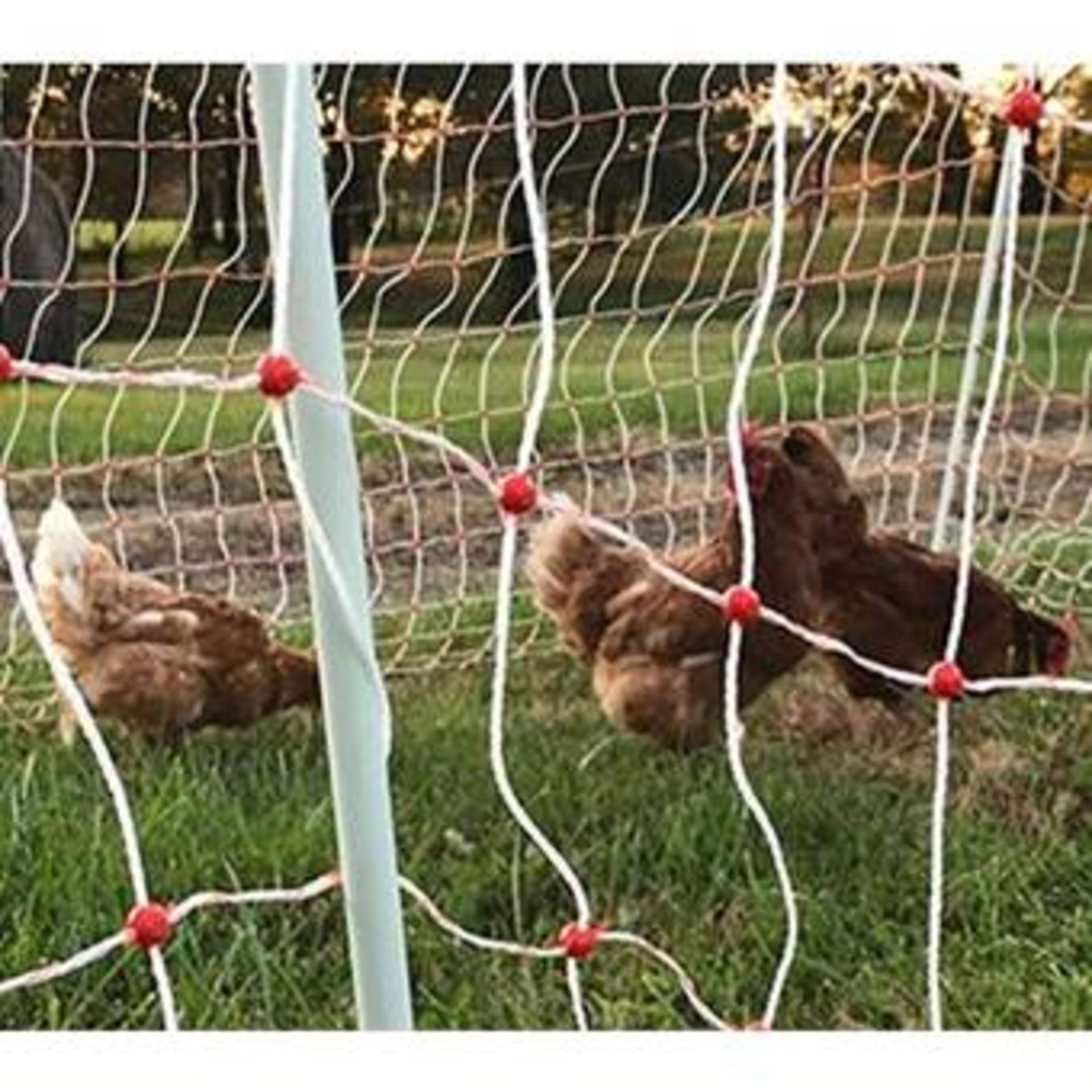 Gallagher 48"Hx164 ft Electric chicken fence w/ fence energizer - Bought in 2022 - Used only one - Image 2 of 6