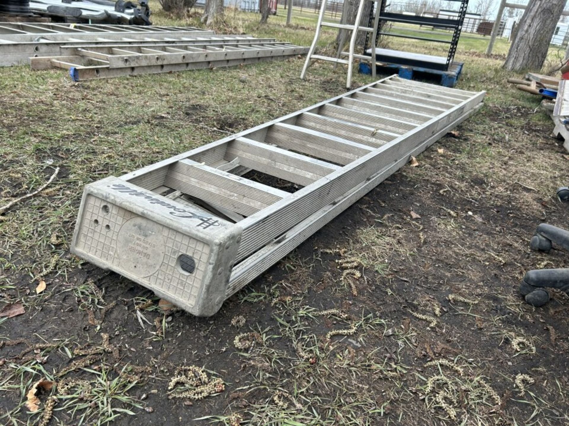 12 FT LOUISVILLE ALUMINUM STEP LADDER - Image 3 of 3