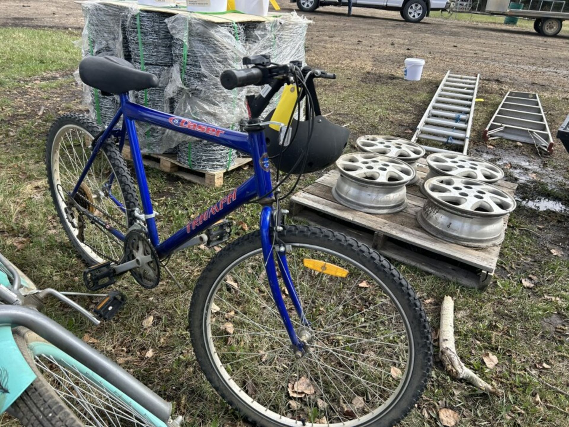 SCHWINN DELMAR CRUISER BICYCLE AND TRIUMPH DOSER 15 SPEED MOUNTAIN BIKE - Image 2 of 4