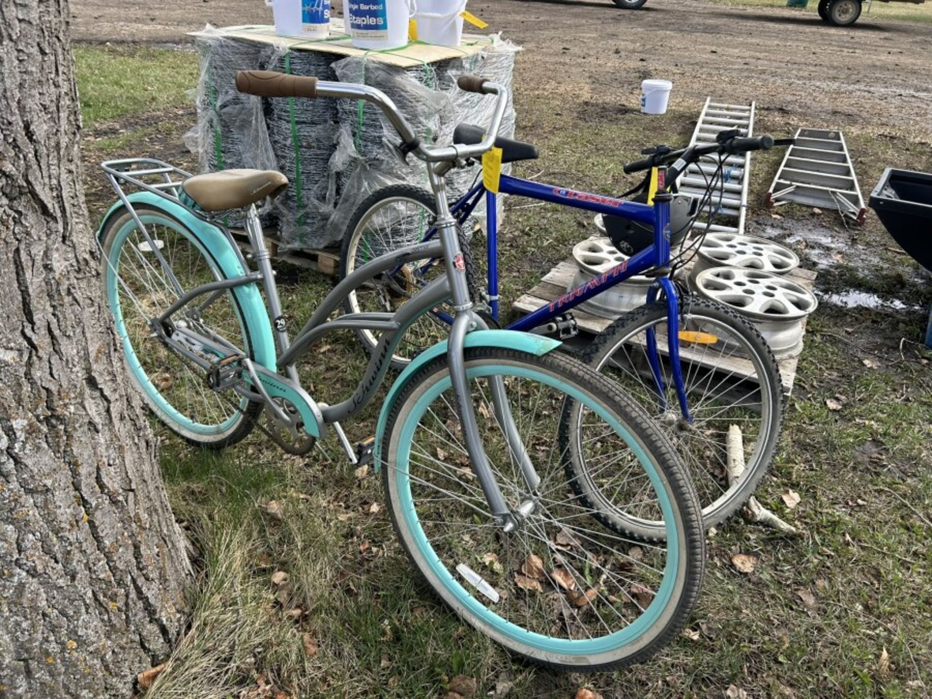 SCHWINN DELMAR CRUISER BICYCLE AND TRIUMPH DOSER 15 SPEED MOUNTAIN BIKE - Image 4 of 4