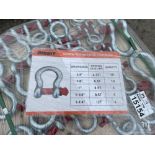 Diggit Screw Pin Anchor Shackles