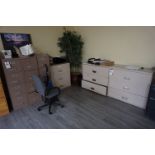 LOT TO INCLUDE: MISC. FILE CABINETS, OFFICE CHAIRS, AND DECORATIVE PLANTS