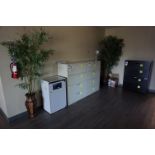 SECOND FLOOR FOYER CONTENTS TO INCLUDE: FILE CABINETS, DECORATIVE PLANTERS AND PLANTS, PAINTING,