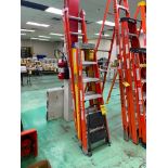 Assorted Ladders; 16' Extension Ladder, 6' Fiberglass Step Ladders, & Cosco Step Stool