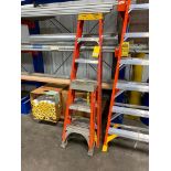 Werner 6' Fiberglass Step Ladder & Louisville 3' Fiberglass Step Ladder