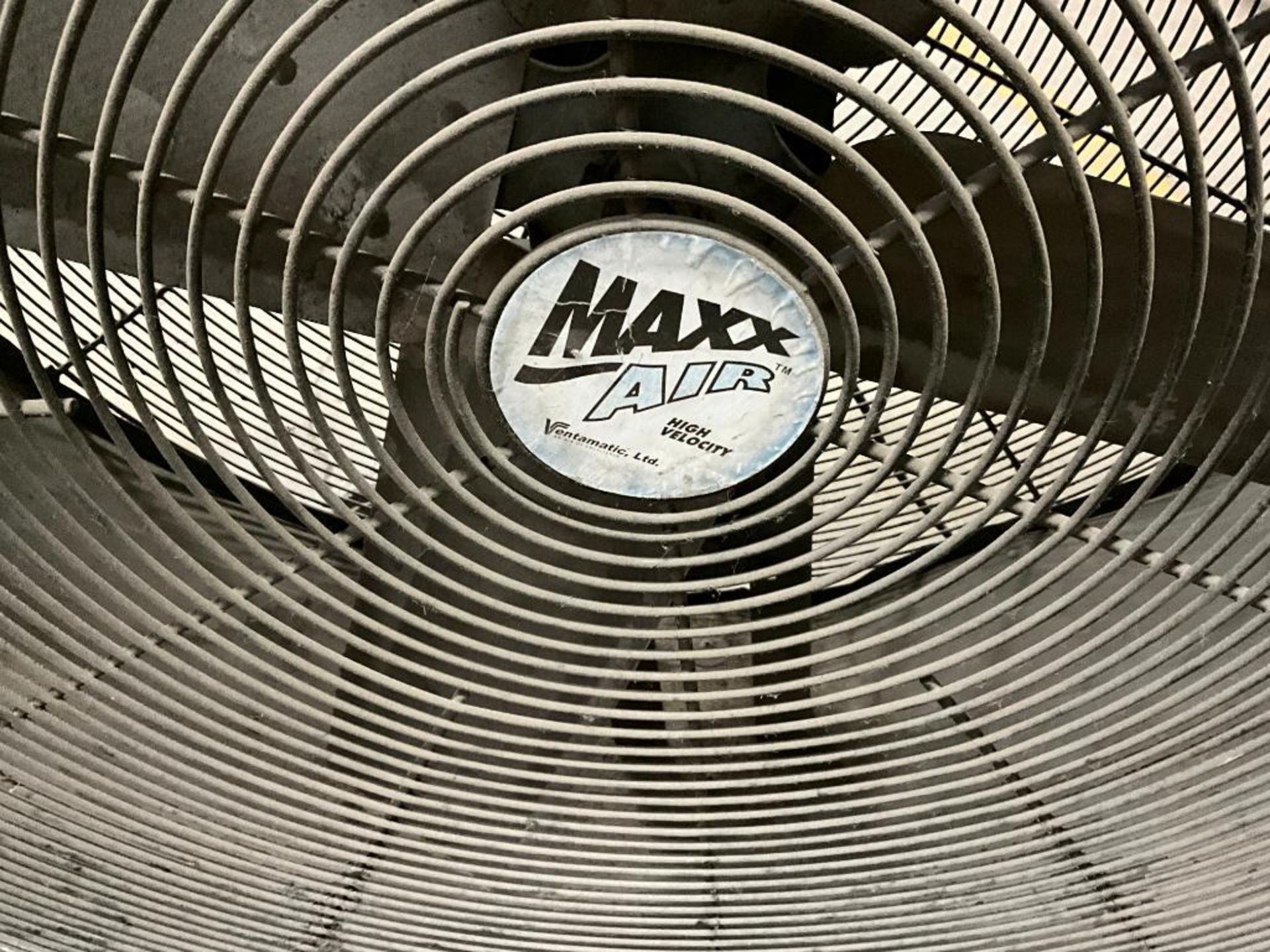 Maxx Air Fan, 42" - Image 4 of 4