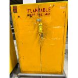 Protectoseal Flammables 2-Door Storage Cabinet w/ Contents