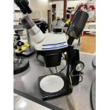 Bausch & Lomb StereoZoom 5 Microscope